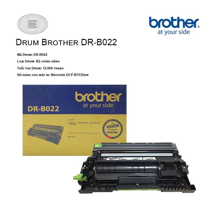 Cụm drum Brother DR-B022